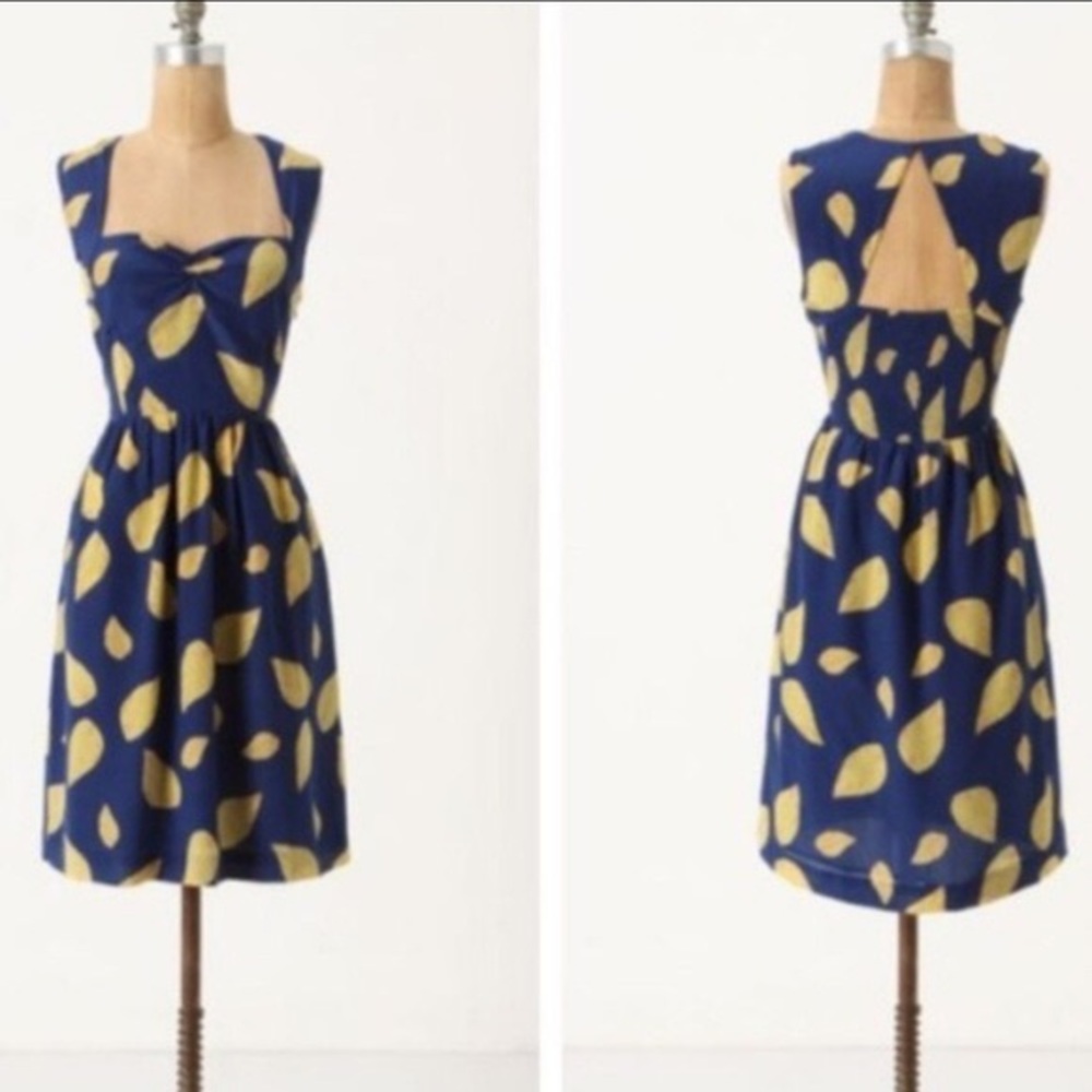 Maple / Anthropologie Tupelo Dress